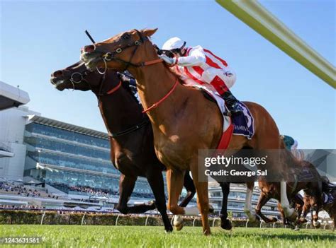 Danehill Stakes results and replay – 2022 .